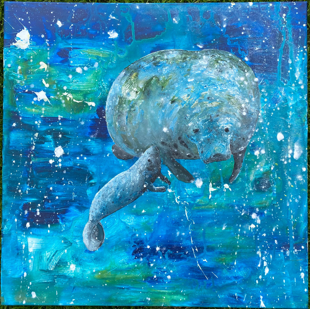 Manatee and Calf