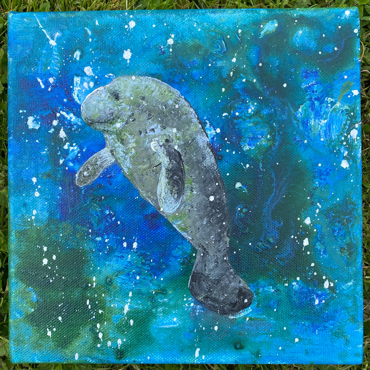 Mini Manatee II