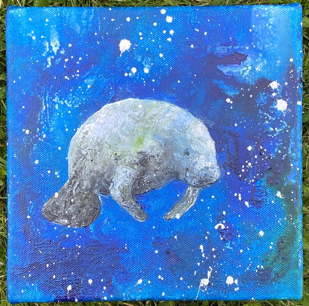 Mini Manatee I