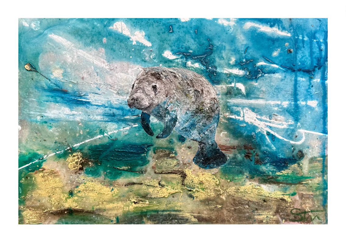 A3 Print of Manatee III