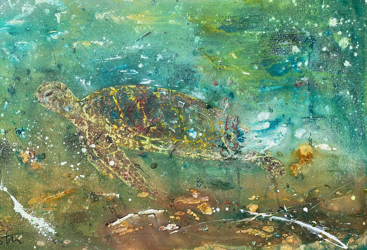 Old Turtle Signed Print