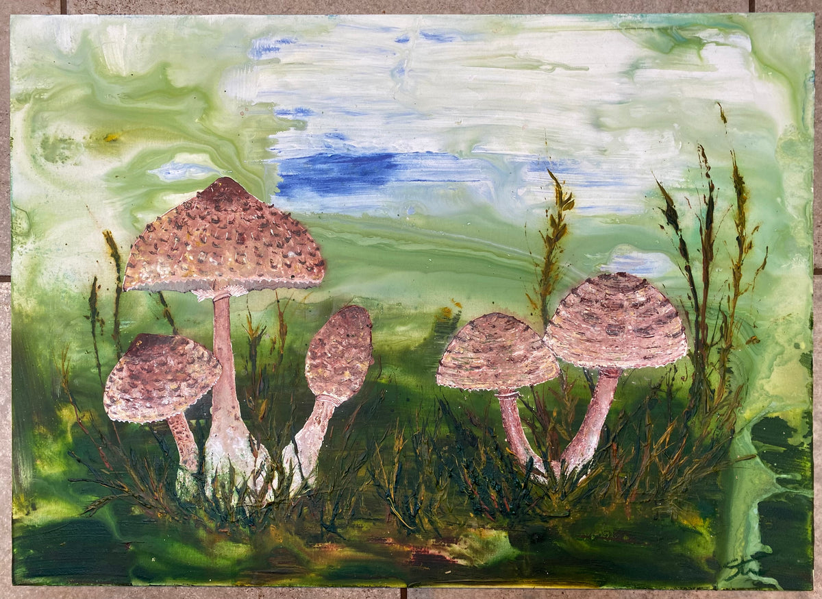 Parasol Mushrooms