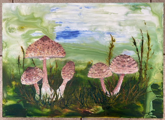 Parasol Mushrooms