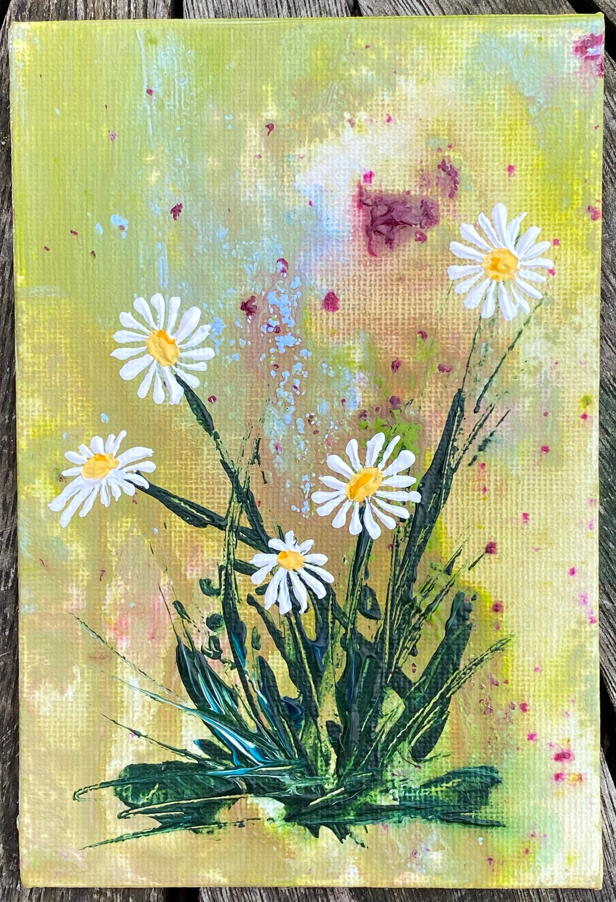 Little Daisies