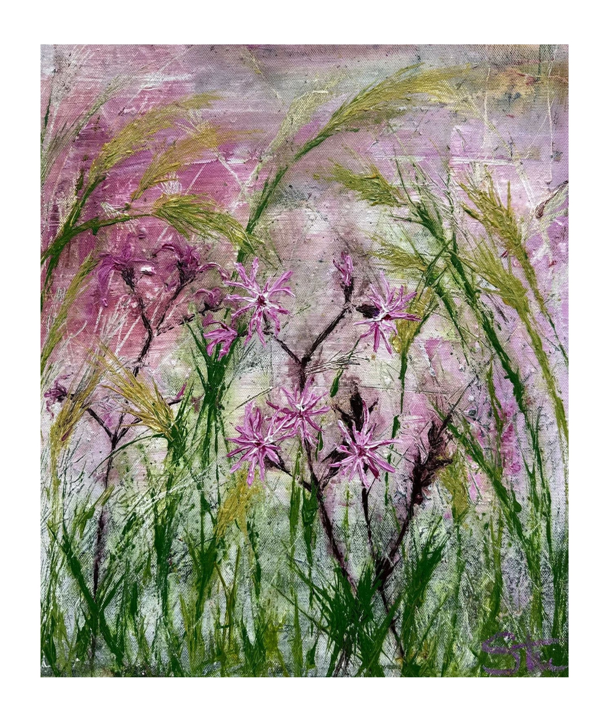 Ragged Robin Signed Print