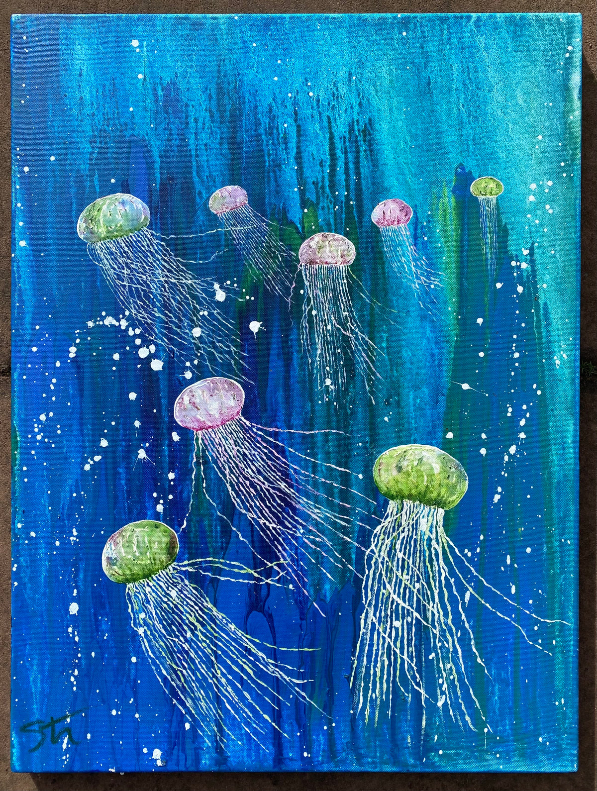 A bloom of jellyfish