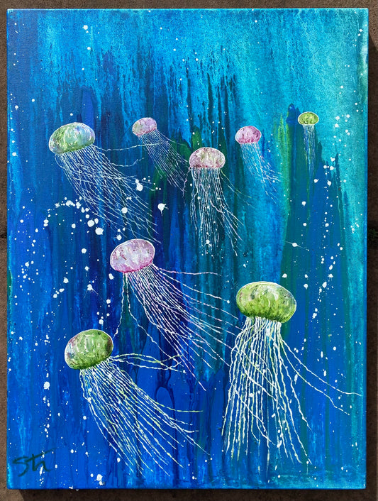 A bloom of jellyfish