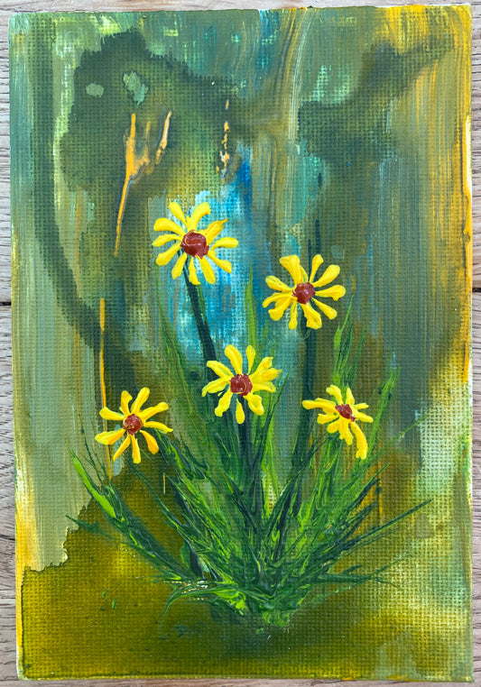 Little Daisies