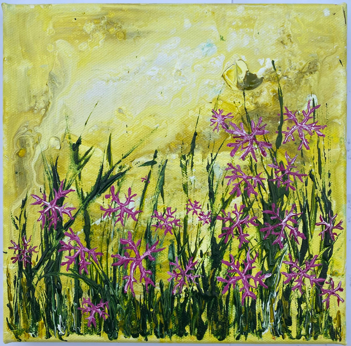 Ragged Robin