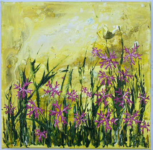 Ragged Robin