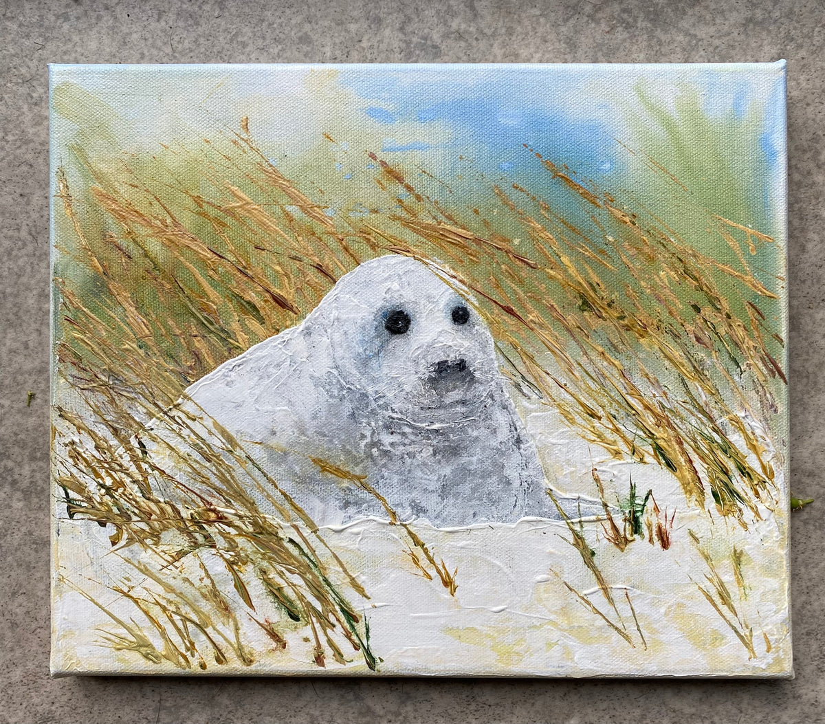 Seal Pup