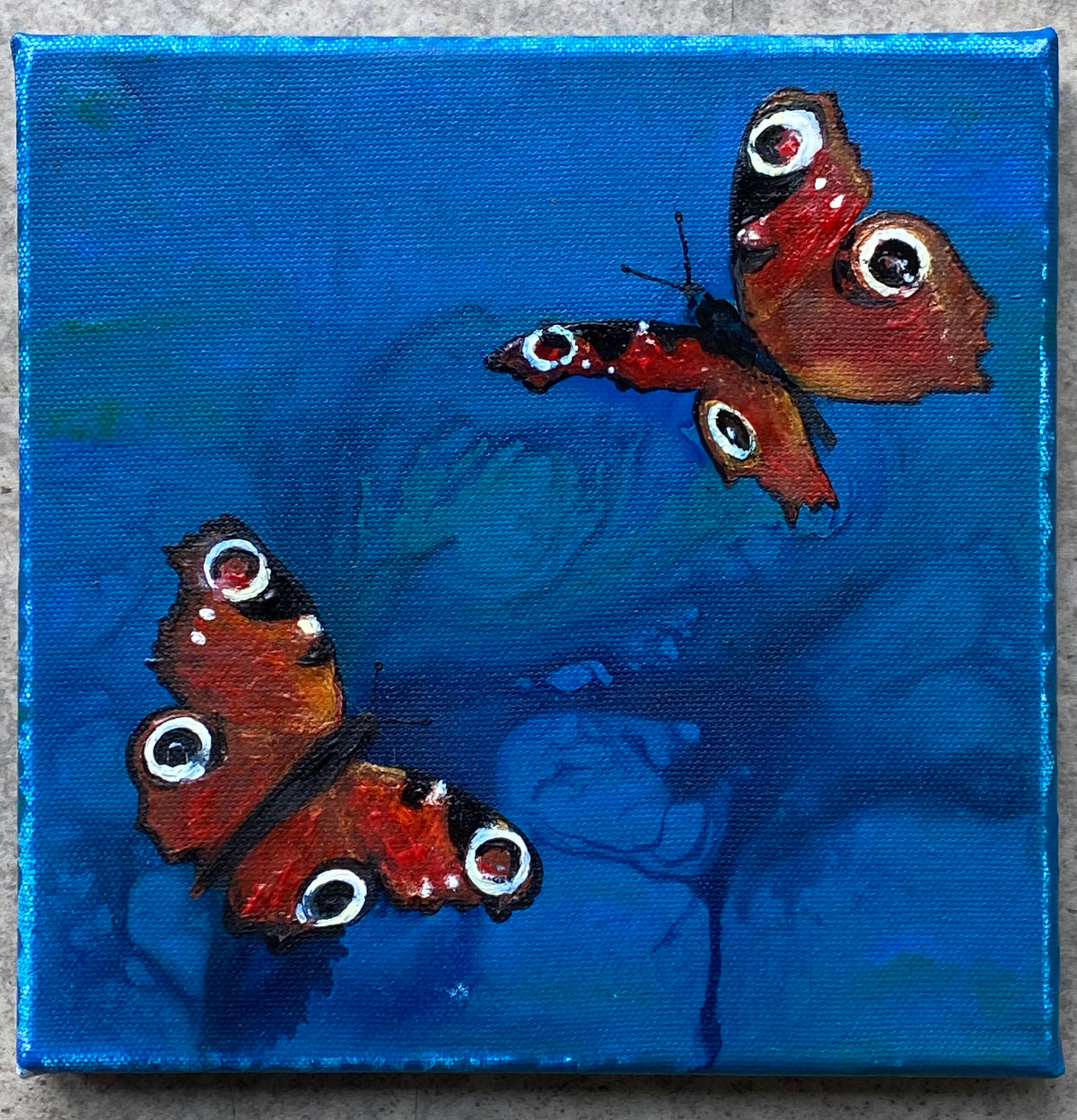 Peacock Butterflies