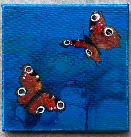 Peacock Butterflies